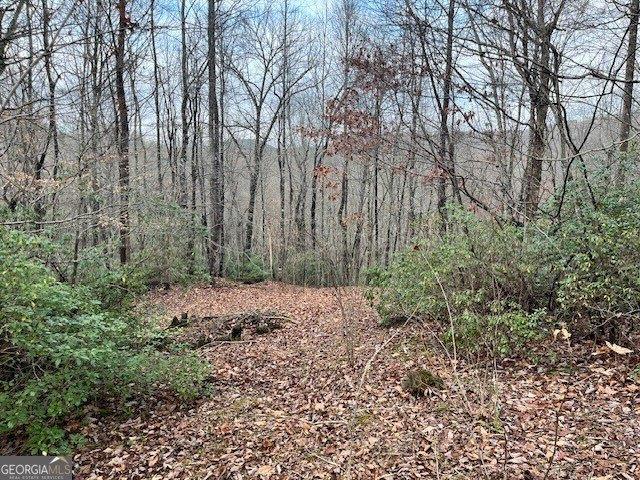 Land for sale in Sautee Nacoochee, Georgia