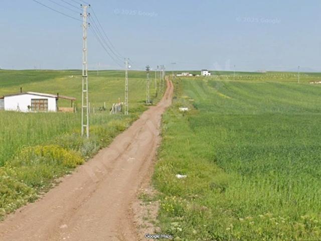 Göydün, Hafik içerisinde satılık mülk