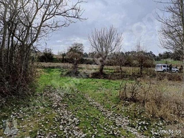 Tarakli, Sakarya içerisinde satılık Arsa