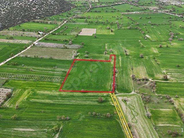 Bademağacı, Döşemealtı içerisinde satılık Arsa