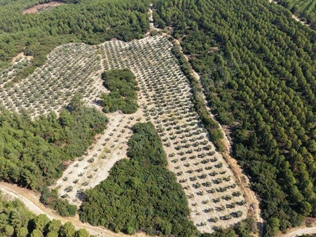 Saruhanli, Manisa içerisinde satılık mülk