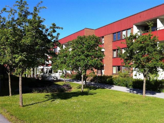 Lägenhet hyra i Visby, Gotland