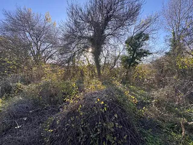 Terrain vente à Montpellier, Grabels