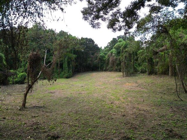 Land for sale in Jasper, Alabama