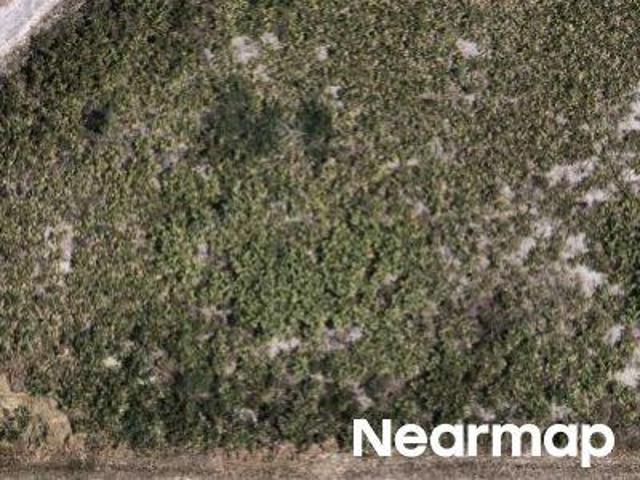 Land for sale in Florida