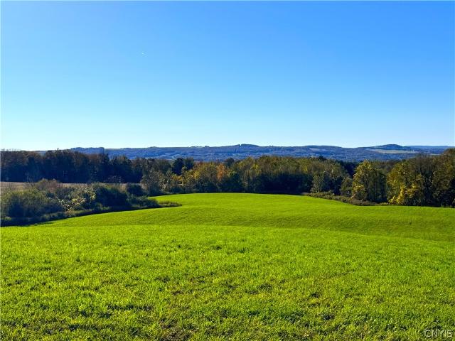 Land for sale in Frankfort, New York