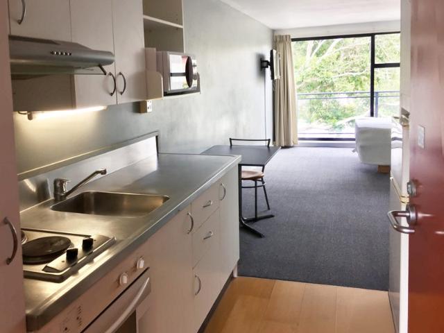 Apartment for rent in Parnell