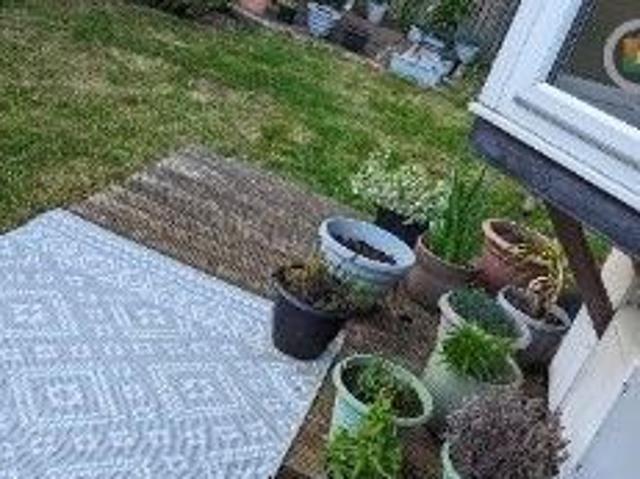 Apartment for rent in Bentley, South Yorkshire