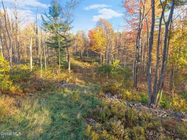 Land for sale in New York