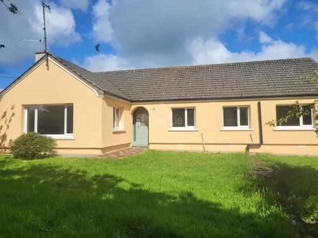 House to rent