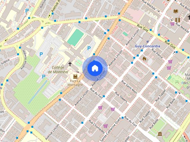 Apartment for rent in Ville-Marie, Montréal
