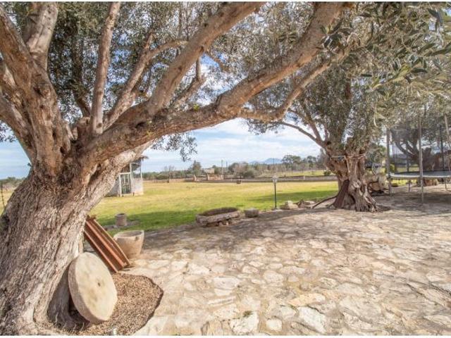 Casa en venta en Santa Margalida, Pla de Mallorca