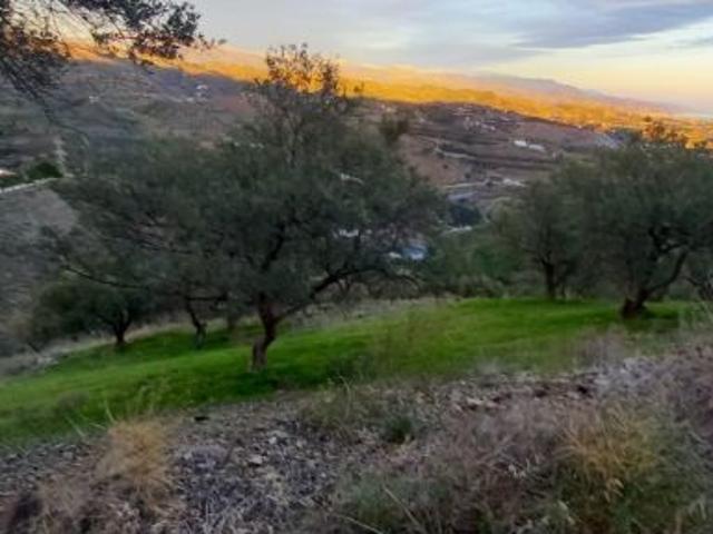 Local Comercial en venta en Benajarafe, La Axarquía