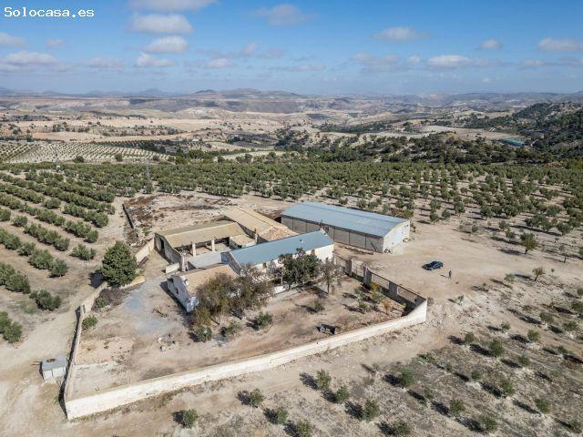 Local Comercial en venta en Comarca de Los Montes, Andalucía
