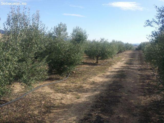 Local Comercial en venta en Belmez, Andalucía