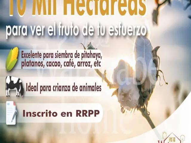 Terreno venta en Tambo Grande, Piura