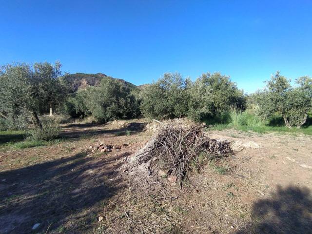 Terreno en venta en Canjáyar, Andalucía
