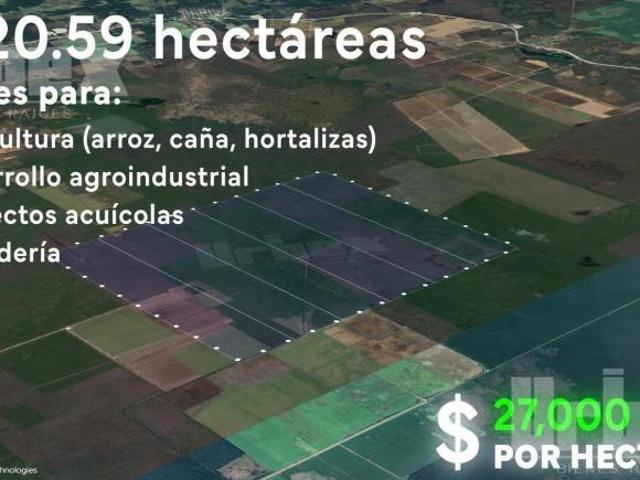 Terreno en venta en Champotón, Campeche