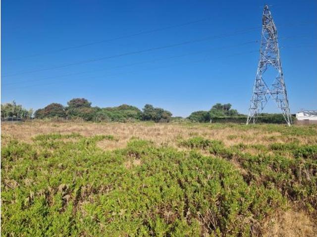 Local Comercial en venta en Rozas De Puerto Real, Barriada del Almendral