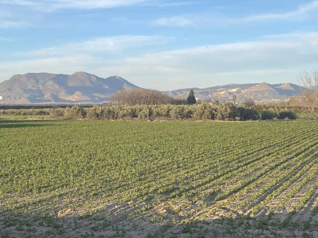 Chalet en venta en Casas Bajas, Comarca de la Vega de Granada