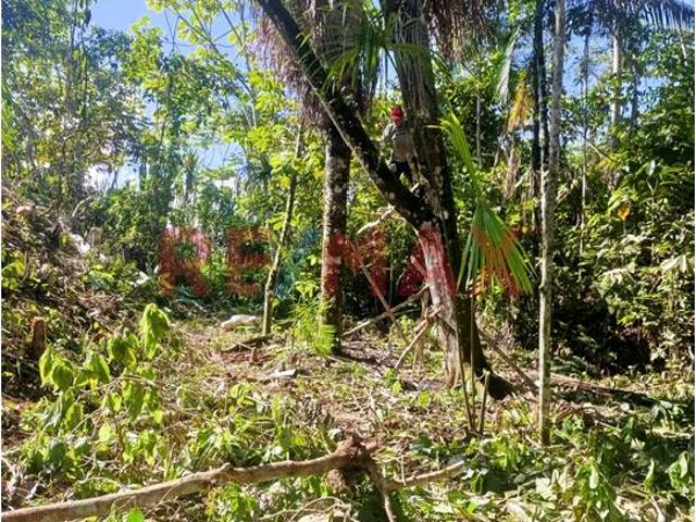 Terreno venta en Leoncio Prado, Huánuco