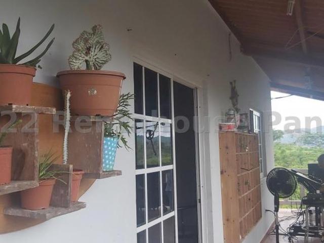 Gran Oportunidad de Inversión Finca con cultivo de Guanábana única en Panamá