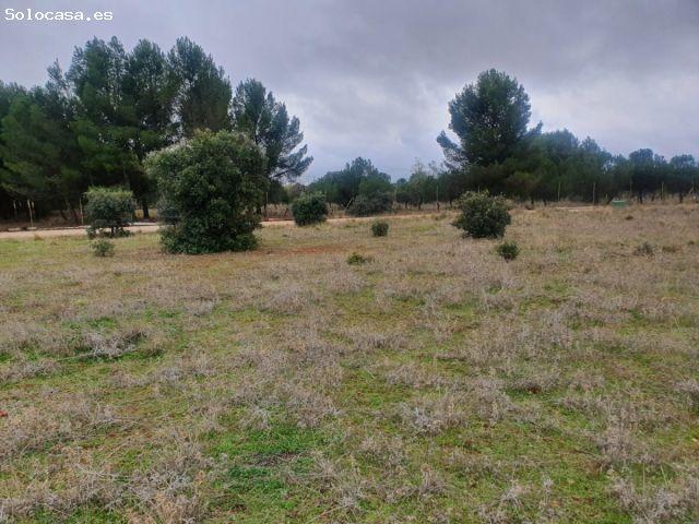Local Comercial en venta en Villalbilla, Madrid