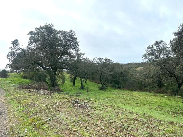 Terreno en venta en Las Pajanosas, Guillena
