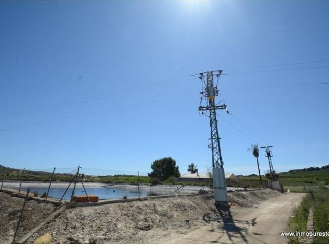 Local Comercial en venta en el Baix Segura / La Vega Baja, Valencia