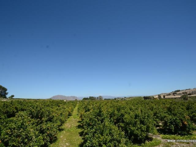 Casa Rural en venta en el Baix Segura / La Vega Baja, Valencia