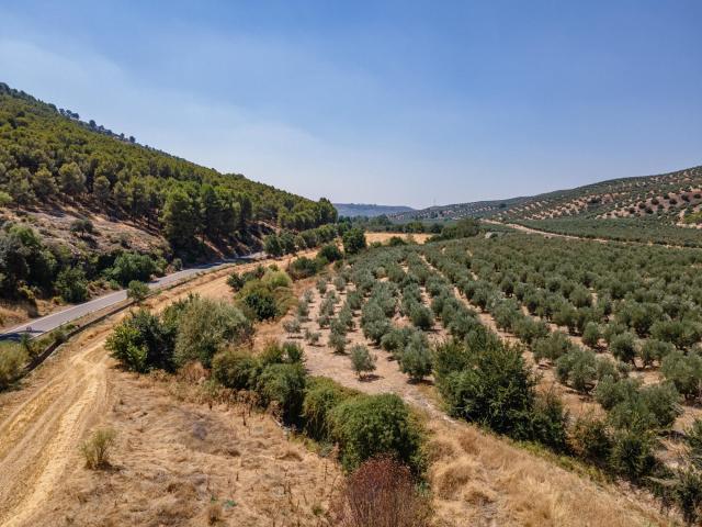 Terreno en venta en Deifontes, Granada