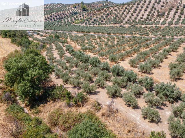 Local Comercial en venta en Comarca de Los Montes, Andalucía