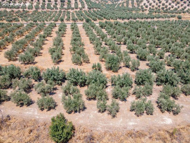Local Comercial en venta en Comarca de Los Montes, Andalucía