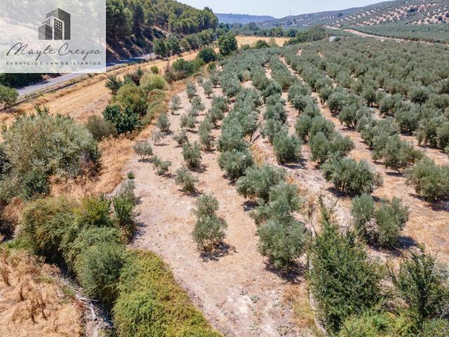 Terreno en venta en Deifontes, Granada