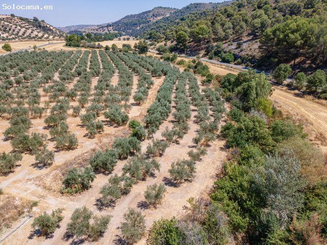 Local Comercial en venta en Deifontes, Granada