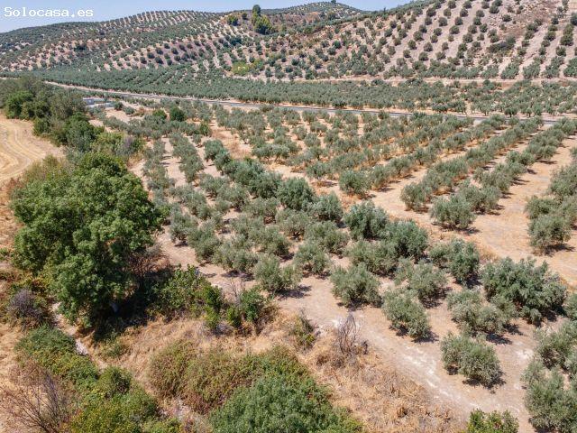 Local Comercial en venta en Comarca de Los Montes, Andalucía