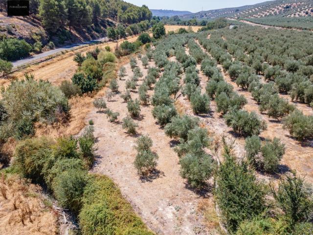 Terreno en venta en Deifontes, Granada