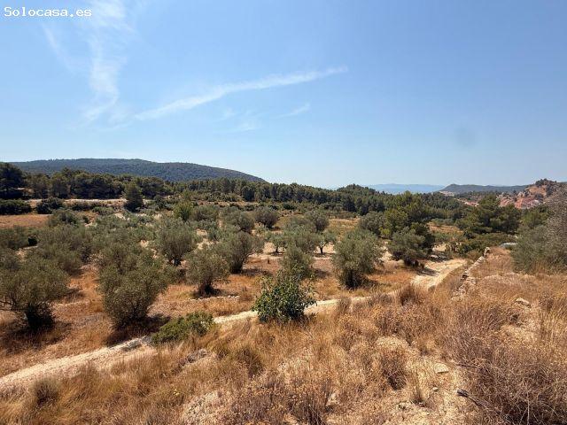 Local Comercial en venta en La Serranía, Valencia