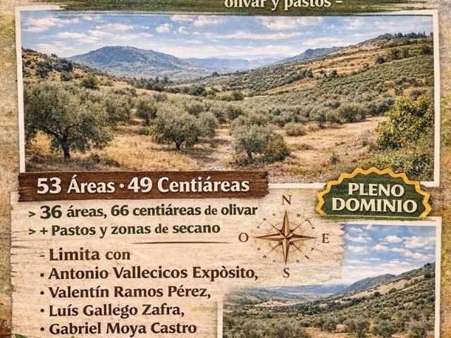 Terreno en venta en Frailes, Andalucía