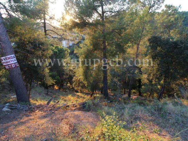 Local Comercial en venta en Font Bandina, la Selva