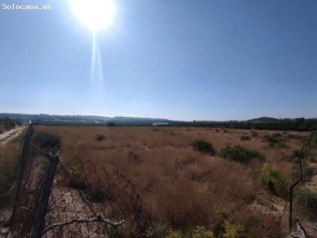 Local Comercial en venta en el Baix Segura / La Vega Baja, Valencia