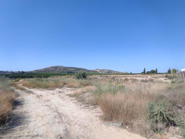 Terreno en venta en el Baix Segura / La Vega Baja, Valencia
