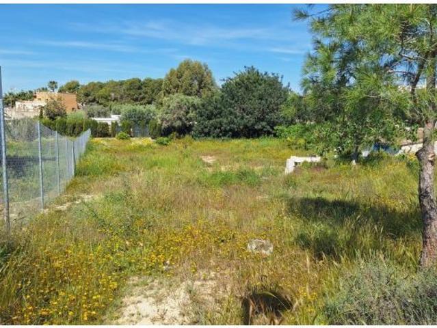 Local Comercial en venta en Sant Vicent del Raspeig / San Vicente del Raspeig, l'Alacantí