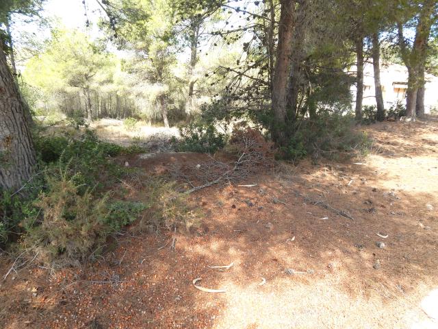 Terreno en venta en Lloma la Mata, la Marina Alta