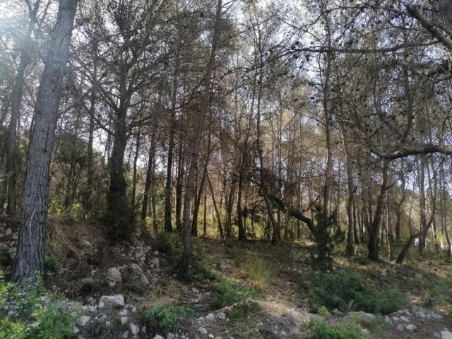 Terreno en venta en El Palou, Garraf
