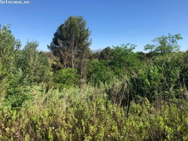 Local Comercial en venta en Gelida, Barcelona