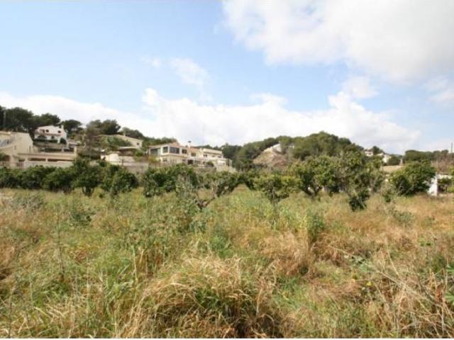 Casa en venta en Buenavista - Cala Advocat, la Marina Alta