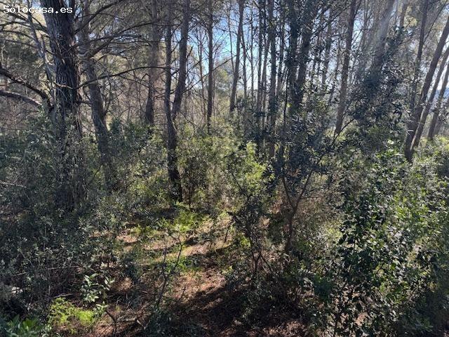 Local Comercial en venta en Urbanització Oasis, Olesa De Montserrat