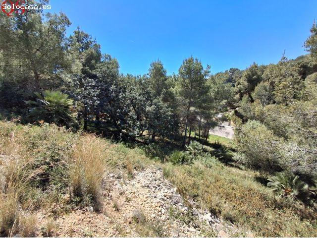 Local Comercial en venta en Jardins de Cunit, Baix Penedès