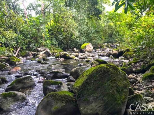 Gran Rebaja! Bonita Propiedad Frente al río en Bocalatún, Boquerón